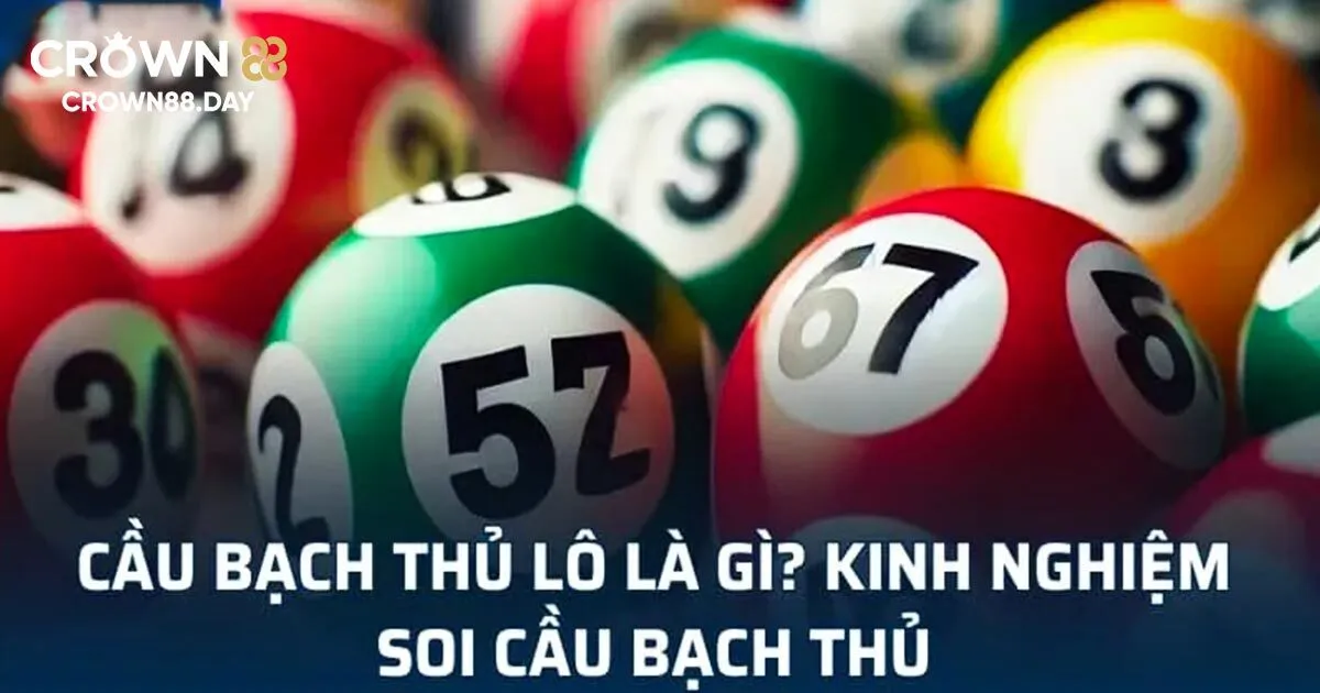 Bạch thủ lô là gì?