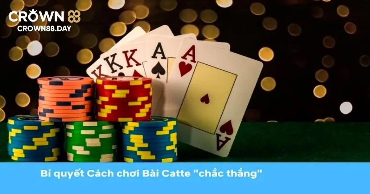 Chia sẻ cách chơi bài catte dành cho tân binh